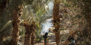 Archaeologists explore southern Moroccan oases in search of remnants of Jewish history